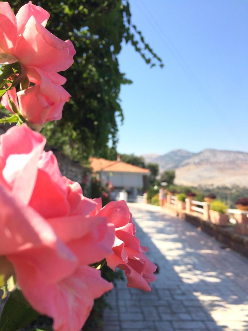 Saranda Landscape Apartman Nivice Kültér fotó